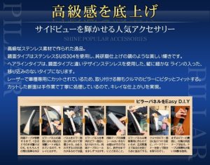 画像5: ステンレスピラー 送料無料 【デリカＤ２　ＭＢ１５】 Grow ・グロウ ステンレスピラーパネル  鏡面ハイパー・ヘアライン ６ピースセット