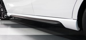 画像13: ＷＡＬＤ・ヴァルド 【ベンツ　Ａ-Ｃｌａｓｓ　Ｗ１７６  ２０１３ｙ〜　Ｍｅｒｃｅｄｅｓ　Ｂｅｎｚ】 ブラックバイソンエデイション ３点ＫＩＴ   Ｓｐｏｒｔｓ　Ｌｉｎｅ　Ｂｌａｃｋ　Ｂｉｓｏｎ　Ｅｄｉｔｏｎ エアロパーツ ＦＲＰ製 