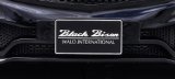 ＷＡＬＤ　ユーロプレートベース 【ベンツ　Ａ-Ｃｌａｓｓ　Ｗ１７６  ２０１３ｙ〜　Ｍｅｒｃｅｄｅｓ　Ｂｅｎｚ】 ブラックバイソンエデイション Ｓｐｏｒｔｓ　Ｌｉｎｅ　Ｂｌａｃｋ　Ｂｉｓｏｎ　Ｅｄｉｔｏｎ エアロパーツ 