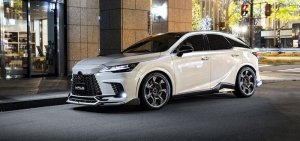 画像5: フロントスポイラー【レクサス RX F SPORT TALA15/TALH17 R4.11〜】WALD・ヴァルド SPORTS LINE・スポーツライン