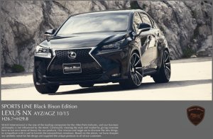 画像1: Ｂｌａｃｋ　Ｂｉｓｏｎ【レクサス　ＮＸ　ＡＹＺ／ＡＧＺ１０/１５】ヴァルド・エアロパーツ　スポーツライン　ブラックバイソンエデイション　２点ＫＩＴ／単品　（フロントハーフスポイラー・リアスカート・オーバーフェンダー・リアゲートスポイラー・他）