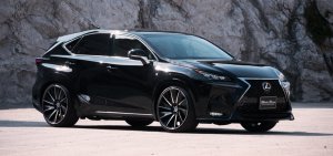 画像8: Ｂｌａｃｋ　Ｂｉｓｏｎ【レクサス　ＮＸ　ＡＹＺ／ＡＧＺ１０/１５】ヴァルド・エアロパーツ　スポーツライン　ブラックバイソンエデイション　２点ＫＩＴ／単品　（フロントハーフスポイラー・リアスカート・オーバーフェンダー・リアゲートスポイラー・他）