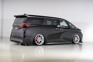 画像15: リアスポイラー　純VIP　EXE　TYPE２ 【トヨタ　40アルファード　AAHH40W/AGH40W】 ＡＩＭＧＡＩＮ 